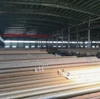 info-203-202